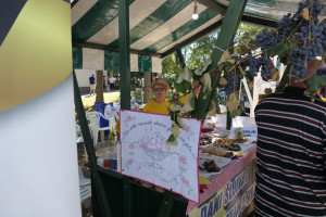 490076335 1124824523013706 4554473731629932089 n 